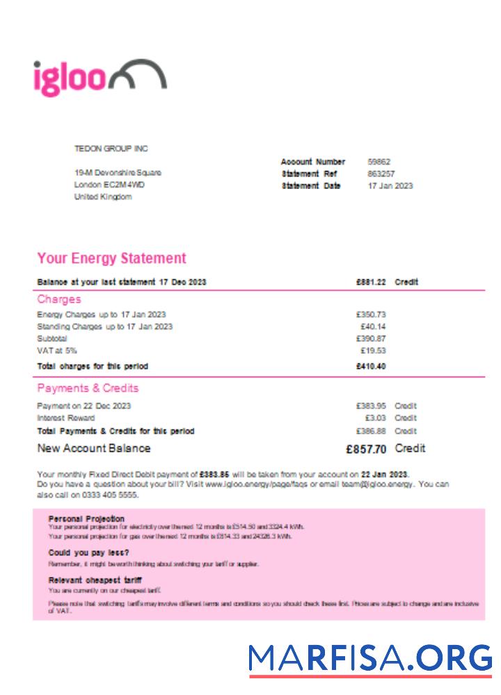 Downloadable Igloo Energy utility business bill, SCR sample